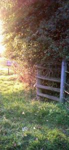 fence-and-fieldcropped